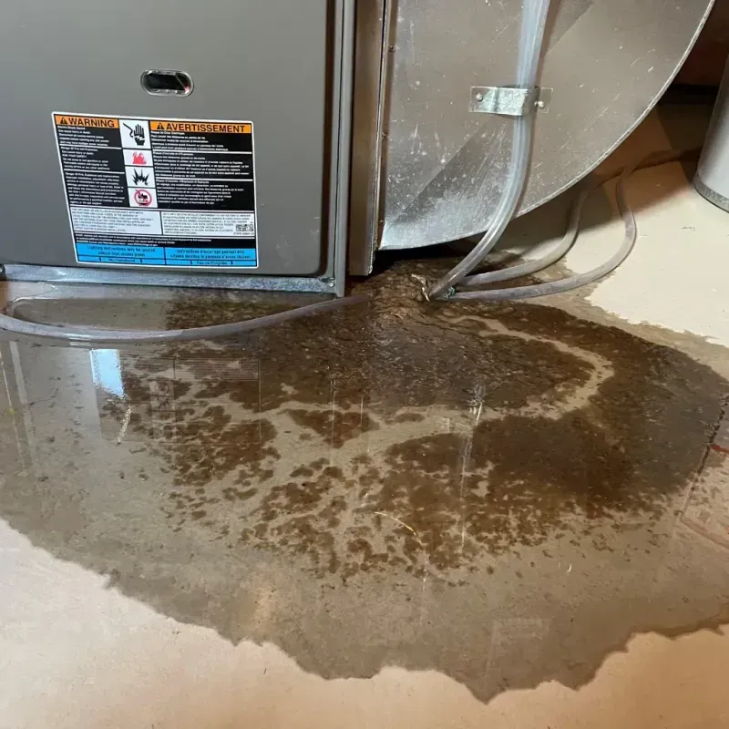 Appliance Leak Cleanup in Los Alamos County, NM